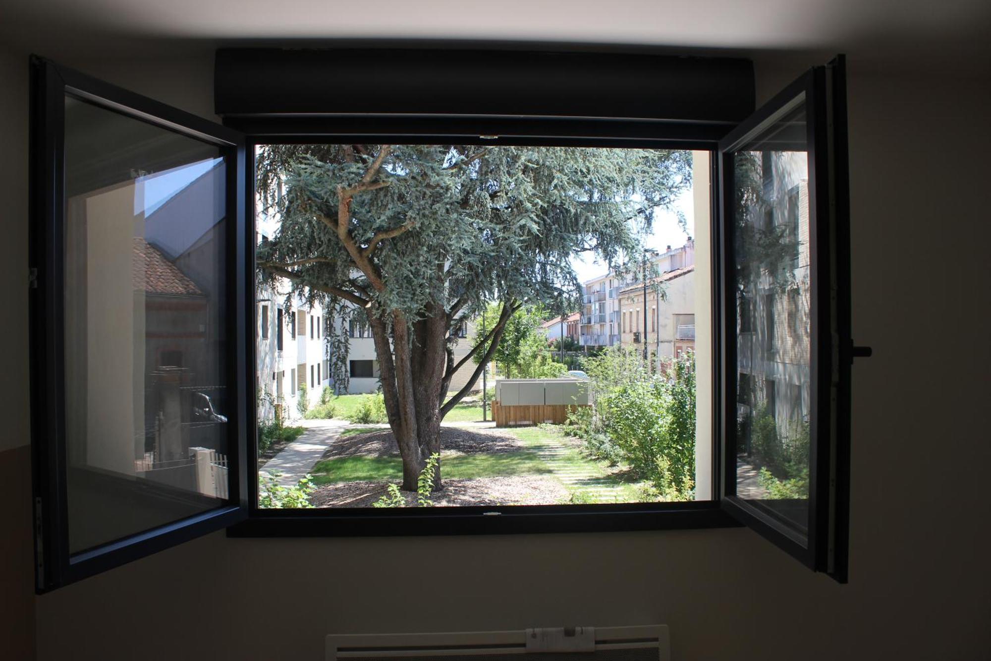Elegante Maison De Ville Renovee Toulouse Dış mekan fotoğraf